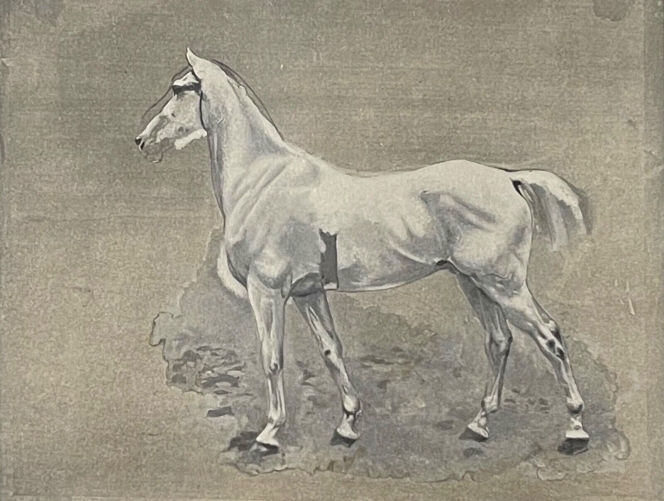 iena_1806_cheval_de_napoleon_bonaparte_ernest_meissonier_photogravure_de_1897