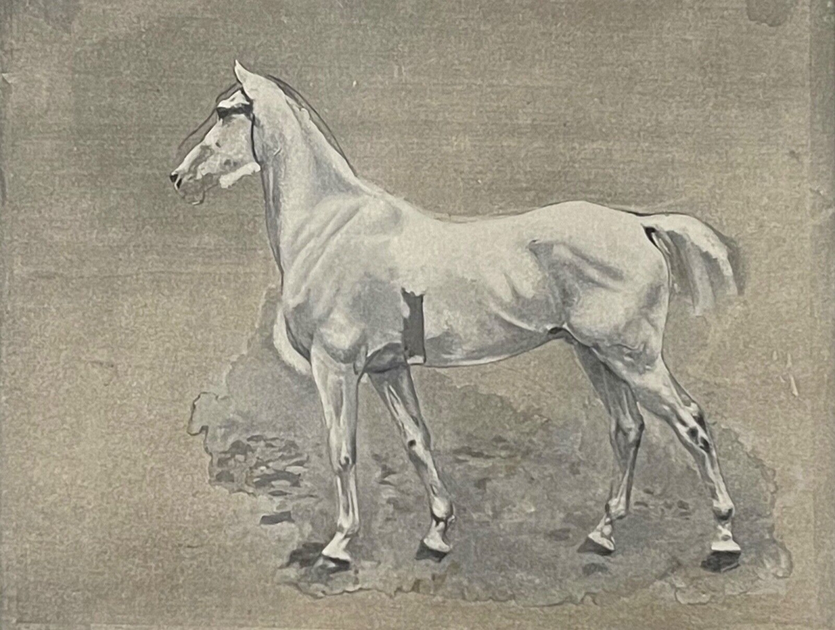 iena_1806_cheval_de_napoleon_bonaparte_ernest_meissonier_photogravure_de_1897
