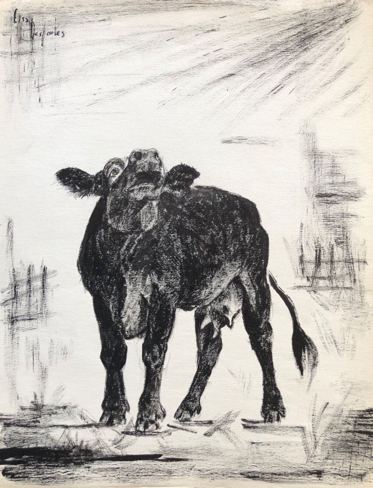 vache_bovin_encre_signee_elsa_desportes_peintre_animalier_poisson_cir_1960