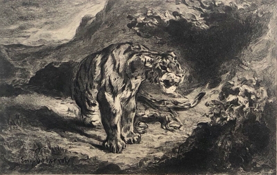 eugene_delacroix_le_tigre,_eaux_forte_graveur_m_kamm_1910_fauve_orientaliste