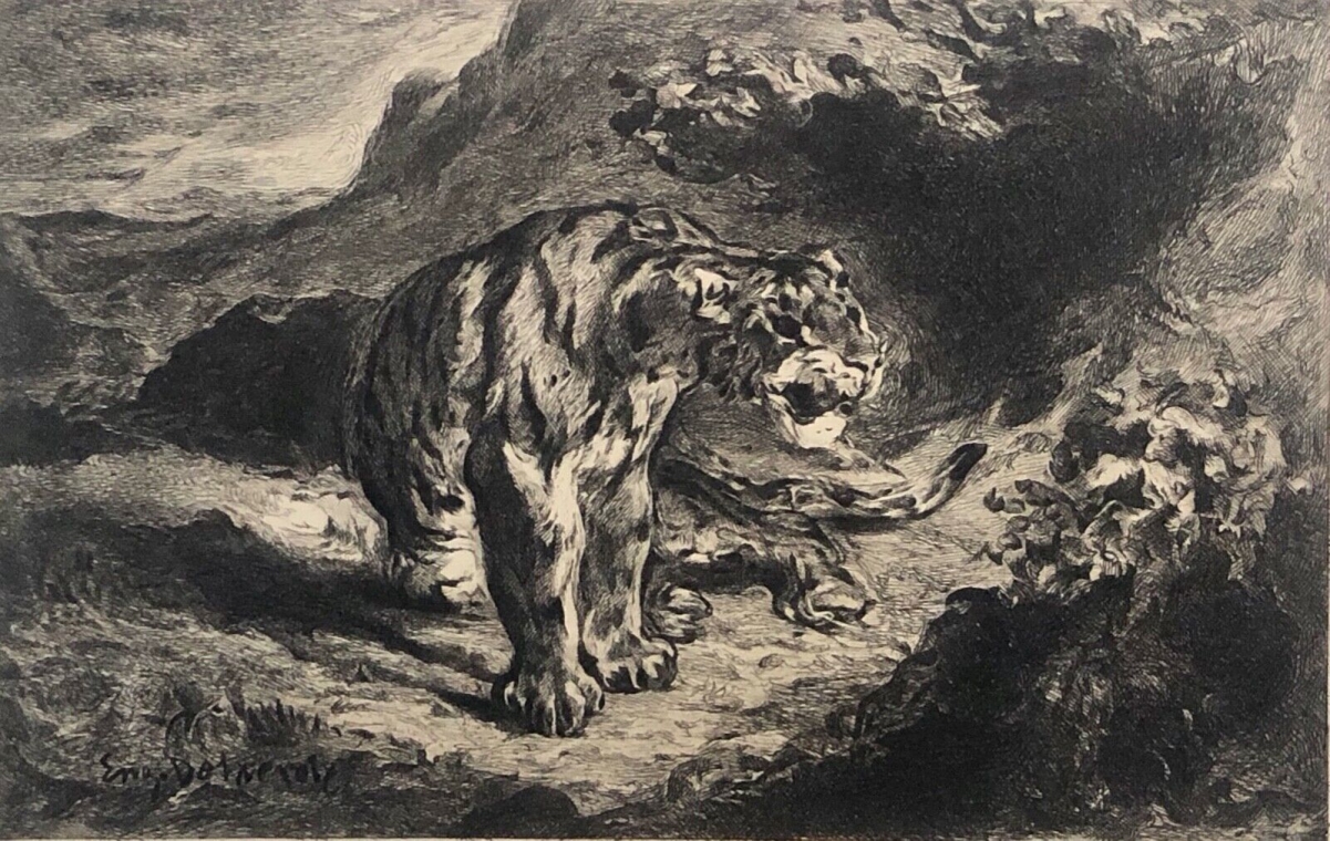 eugene_delacroix_le_tigre,_eaux_forte_graveur_m_kamm_1910_fauve_orientaliste