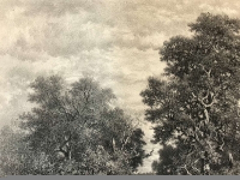 theodore_rousseau_la_mare_gravee_par_j_laurens_circa_1876_barbizon_litographie