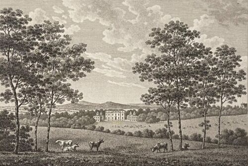 tehidy_park_in_cornwall_1779_united_kingdom