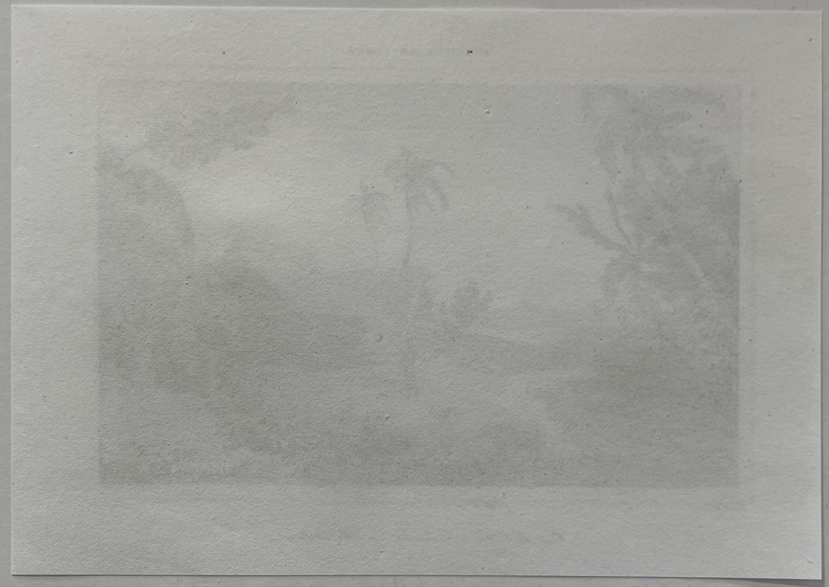 tonga_engraving_namuka_rotterdam_island_village_pacific_ocean_1836_oceanie