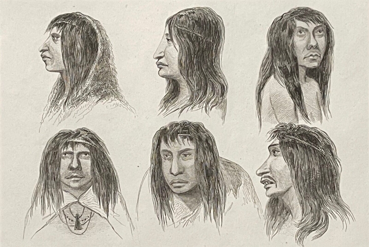 chili_argentine_terre_de_feu_groupe_fuegiens_lithographie_vers_1836_fuegien