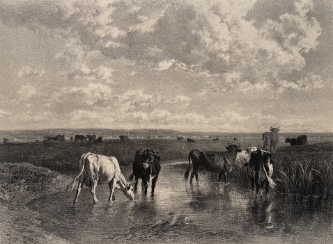 constant_troyon_1810-1865_graveur_j_laurens_c_1876_barbizon_vache_troupeau
