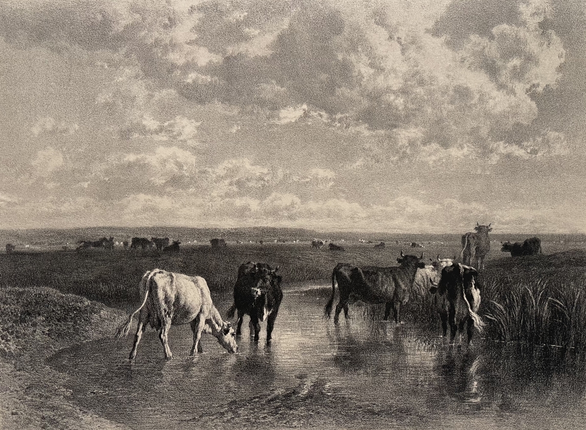 constant_troyon_1810-1865_graveur_j_laurens_c_1876_barbizon_vache_troupeau