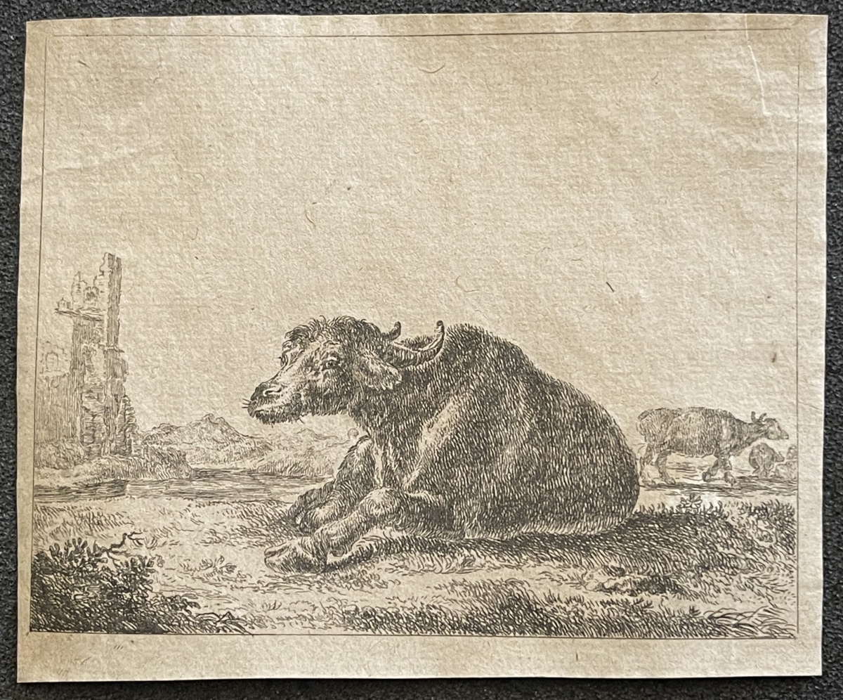 stefano_della_bella_buffle_1620-1664_tirage_tardif__xviiie_ou_xixe