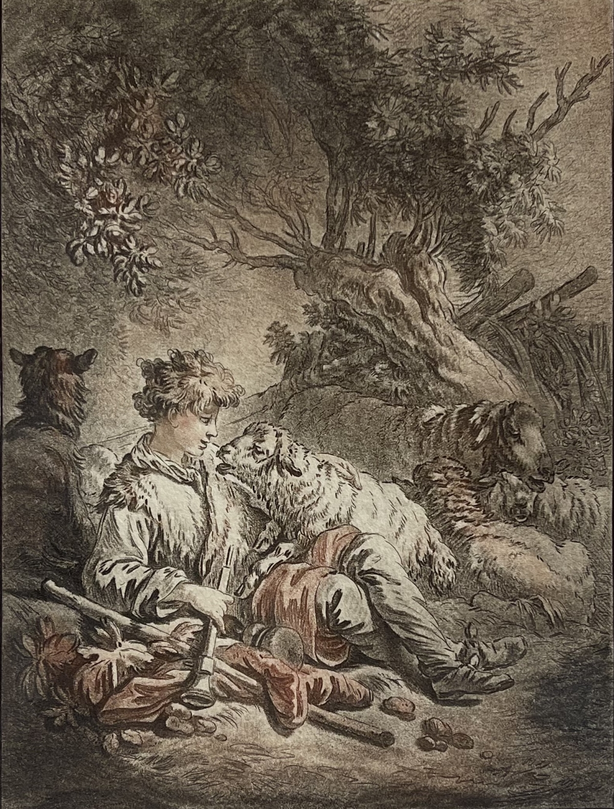 jean-baptiste_huet_graveur_gilles_demarteau_france_aquatinte_xixe_mouton_berger