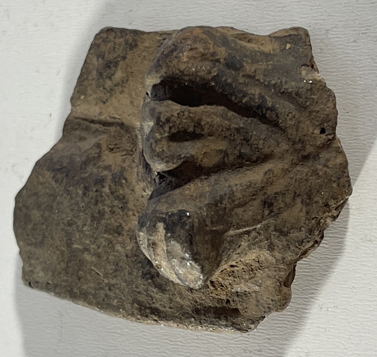 arts_premiers_tete_terre_cuite_caraibe_taino_ou_precolombien_copie