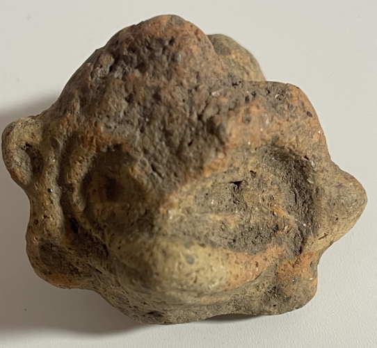 arts_premiers_tete_zoomorphe_terre_cuite_caraibe_taino_ou_precolombien_copie