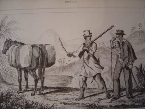 brasil_bresil__saint-poan_del_rey__gravure_sur_acier_de_1838_