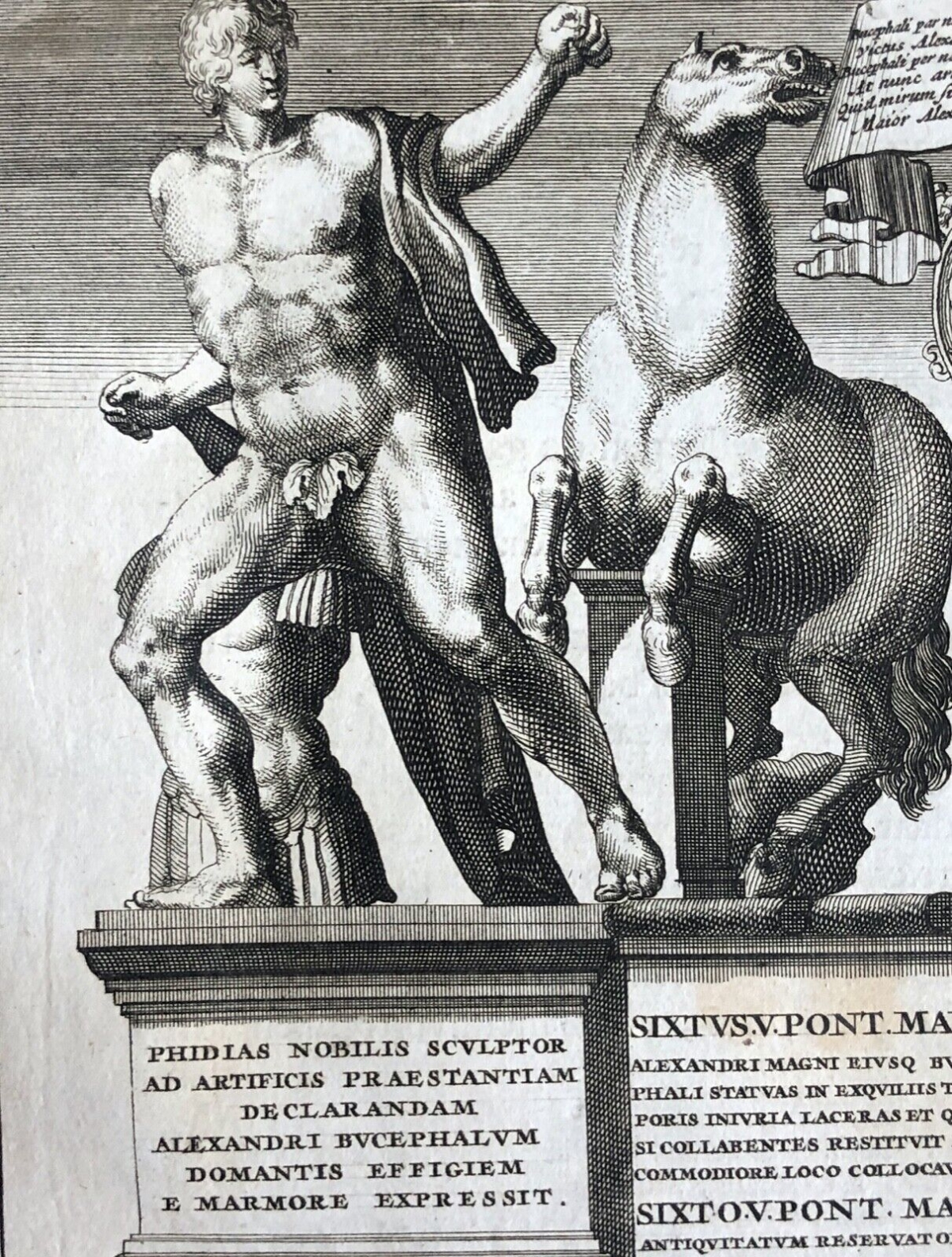 roma_sculpture_de_praxiteles_et_fidias_1704_italia_rome_italie_chevaux_cheval