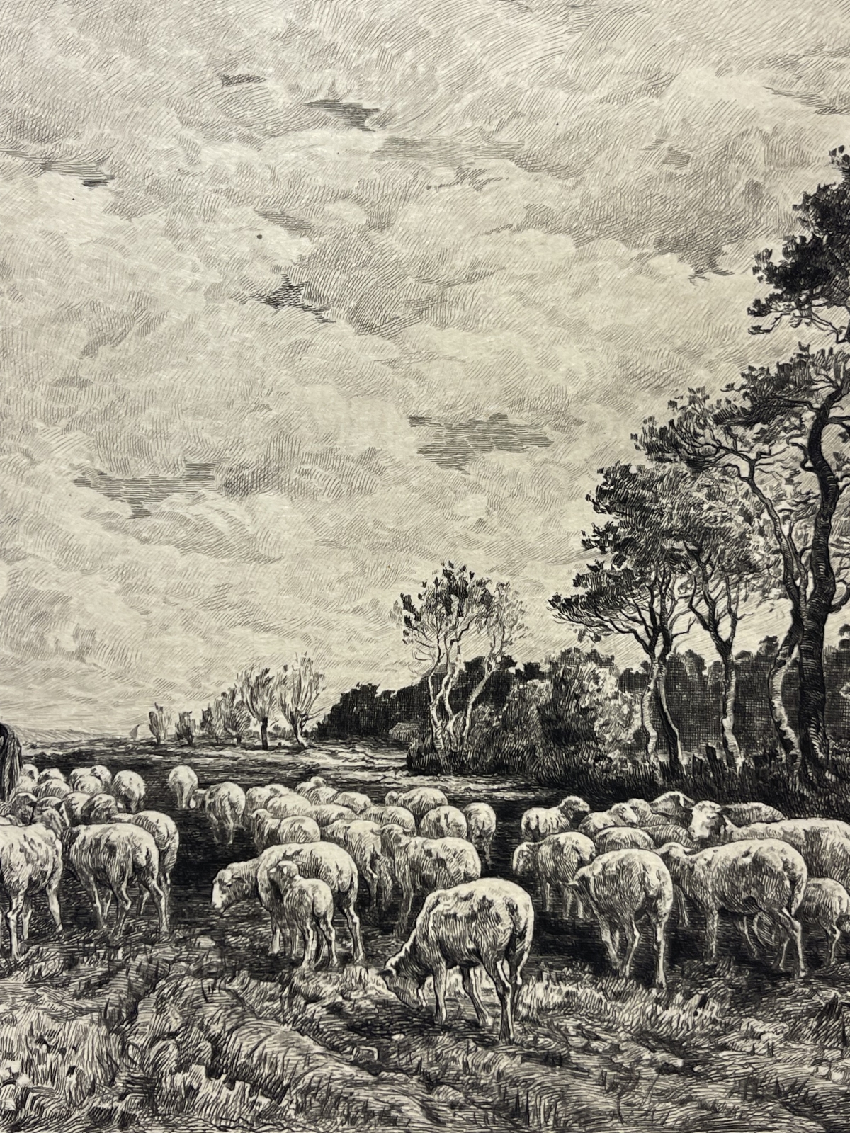 barbizon_school_charles_emile_jacque_shepherd_sheep_etching_proof_1911