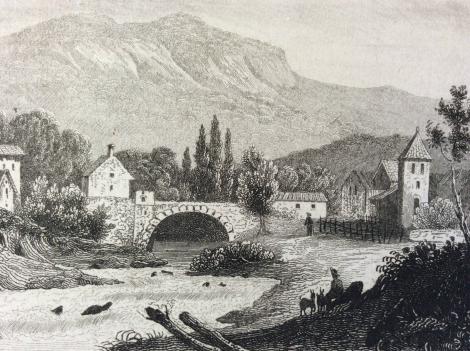 cedre_pyrenees_orientales_gravure_sur_acier_xixe_france