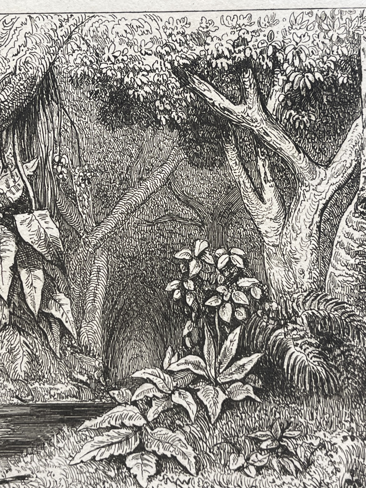 tahiti_two_young_tahitian_women_bathing_engraving_1836_polynesia_polynesie