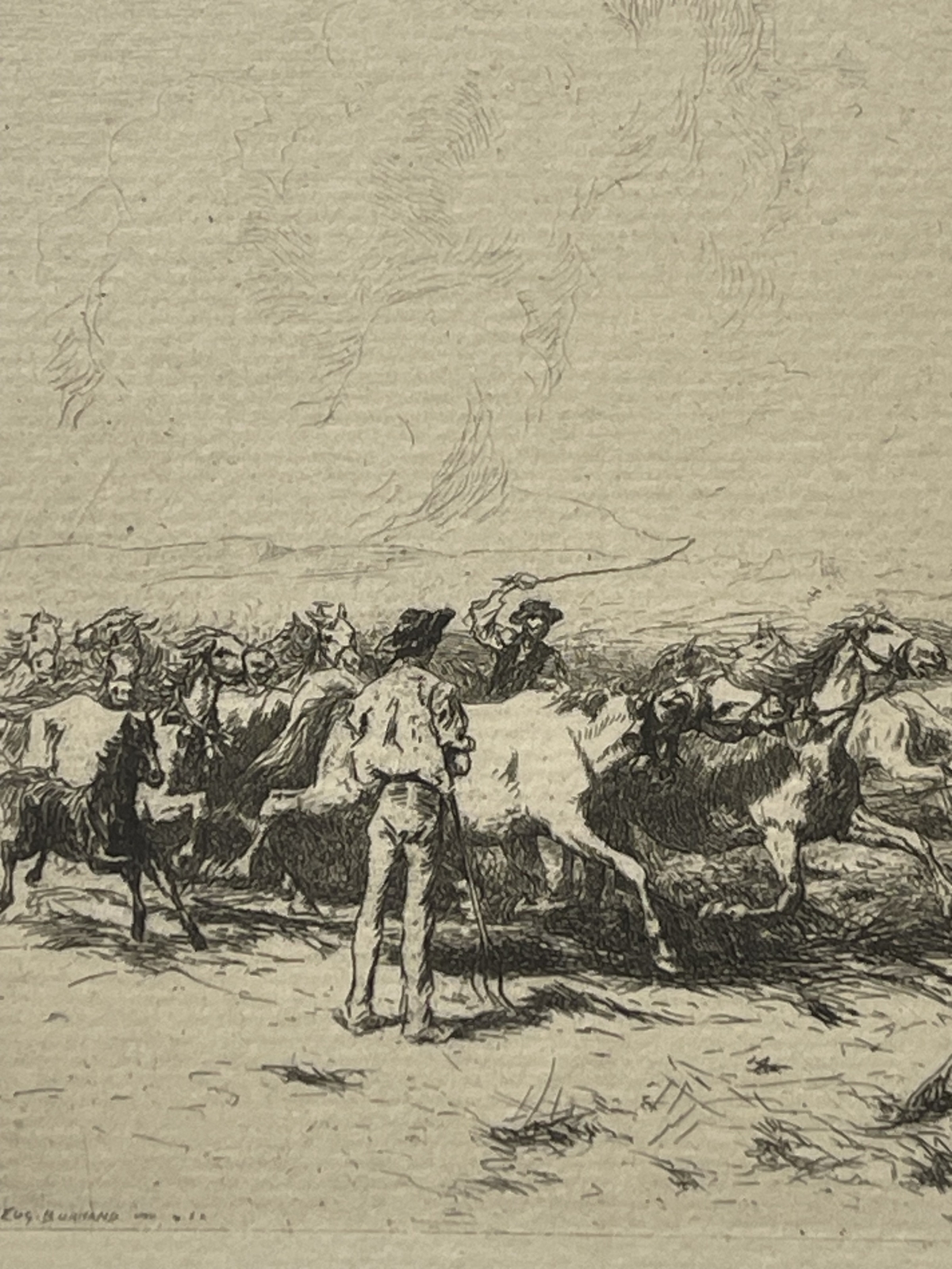 camargue_horses_threshing_original_drypoint_etching_1884_france_cheval_chevaux
