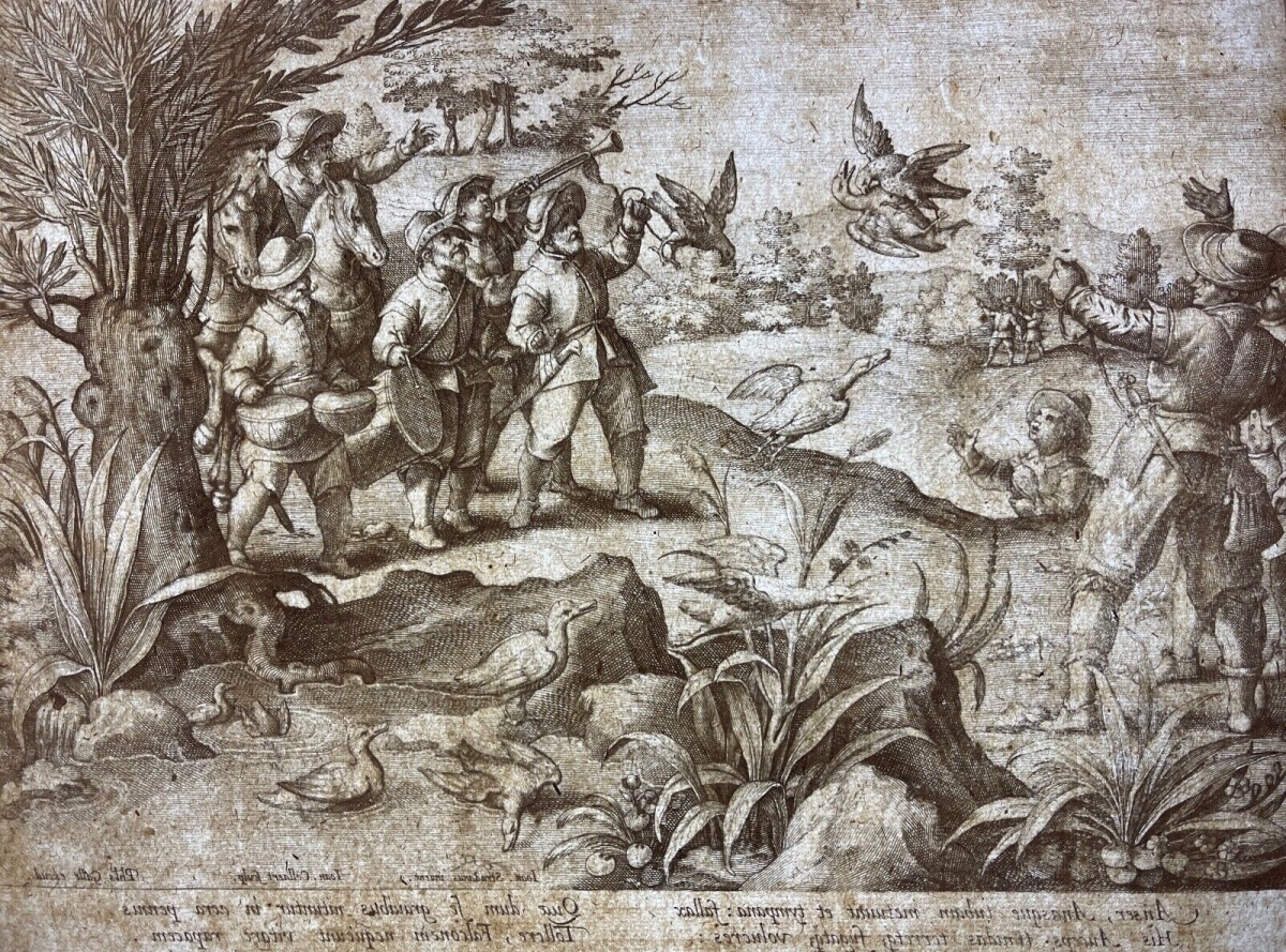 faucon_chasse_aux_canards_philippe_galle_van_der_straet_collaert_c_1595_oiseaux