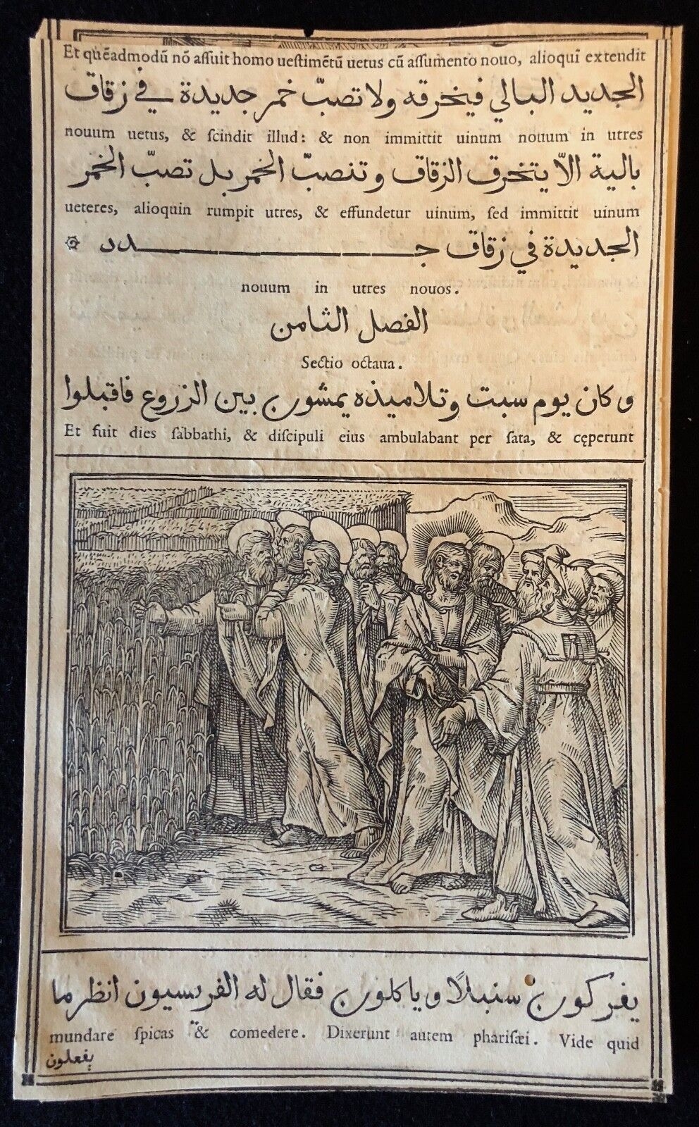 evangiles_arabe_raimondi_1591_tempesta_parasole_medicis_mais_jour_du_sabbat_roma