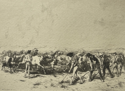 camargue_horses_threshing_original_drypoint_etching_1884_france_cheval_chevaux