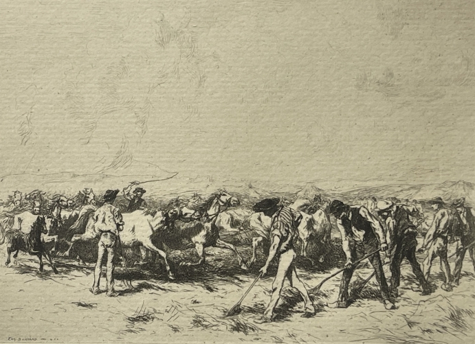camargue_horses_threshing_original_drypoint_etching_1884_france_cheval_chevaux