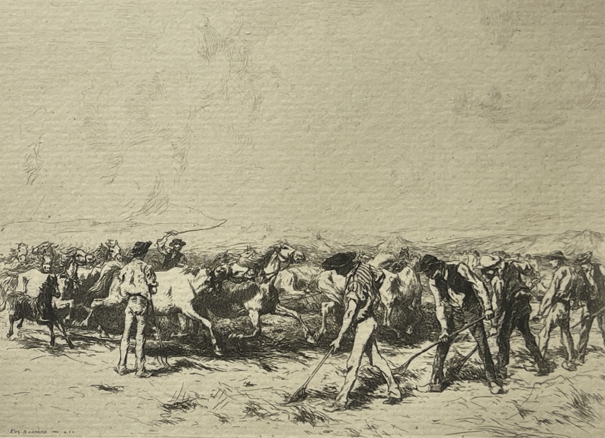 camargue_horses_threshing_original_drypoint_etching_1884_france_cheval_chevaux