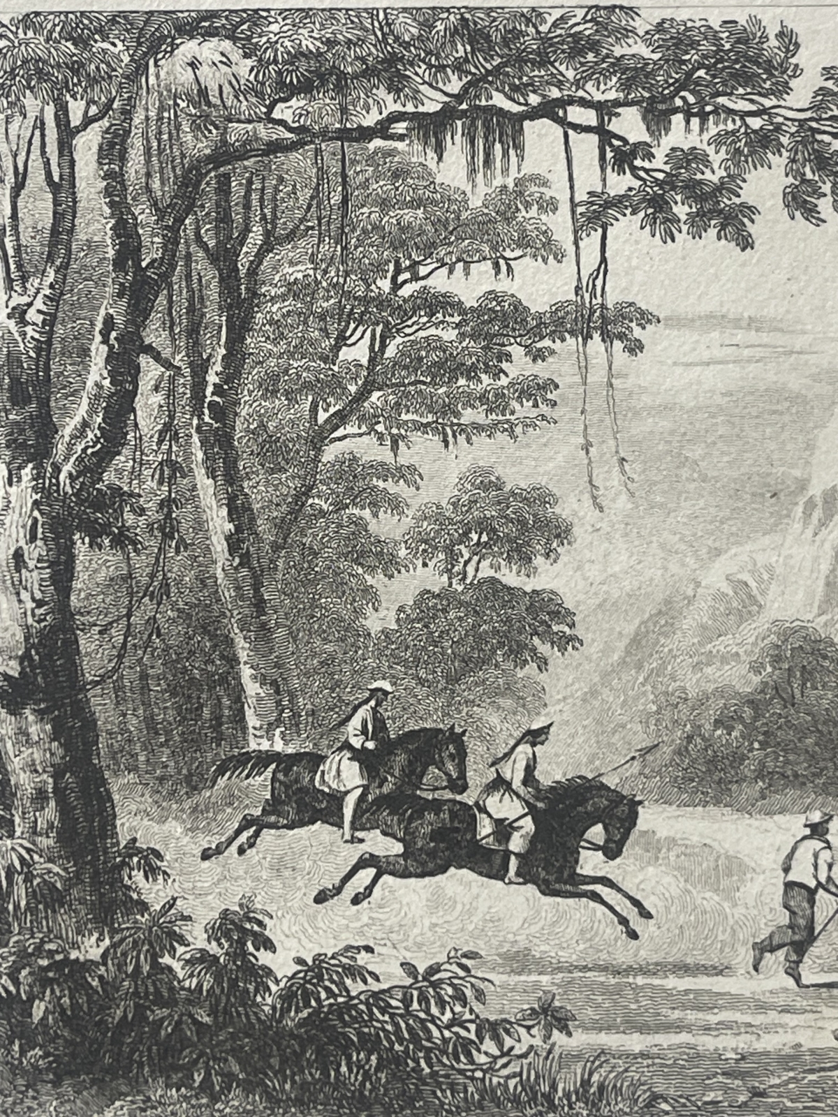 philippines_mariveles_deer_hunt_1836_antique_steel_engraving_danvin_cholet