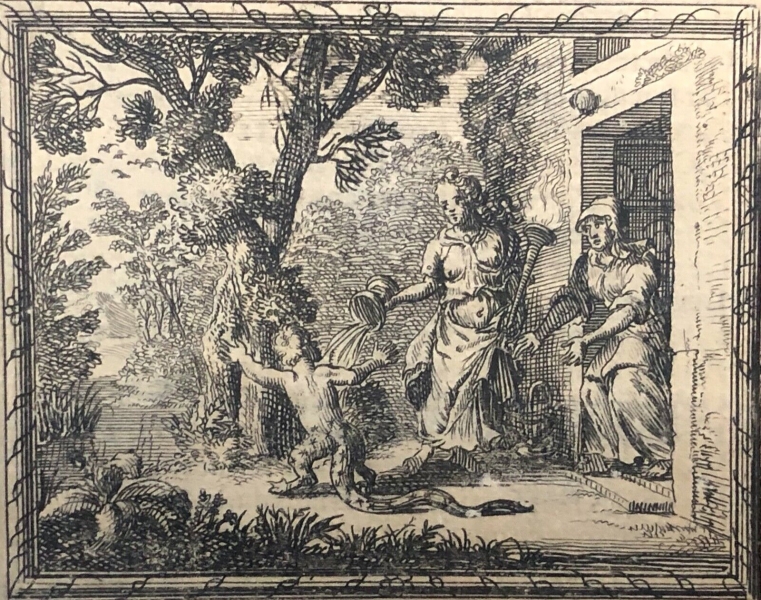 Enfant changé en lézard Métamorphoses Ovide 1697 par Franz Ertinger