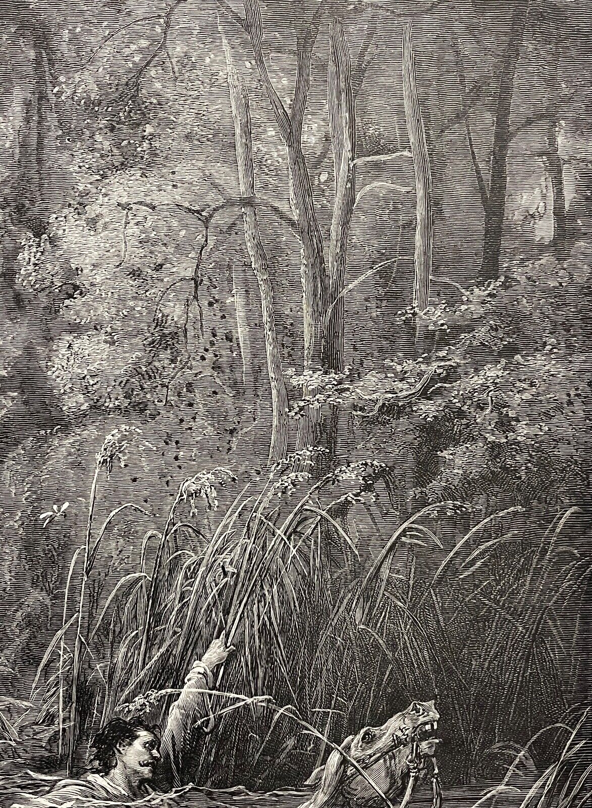 le_torrent_et_la_riviere_gustave_dore_xylographie_fable_de_la_fontaine_1868