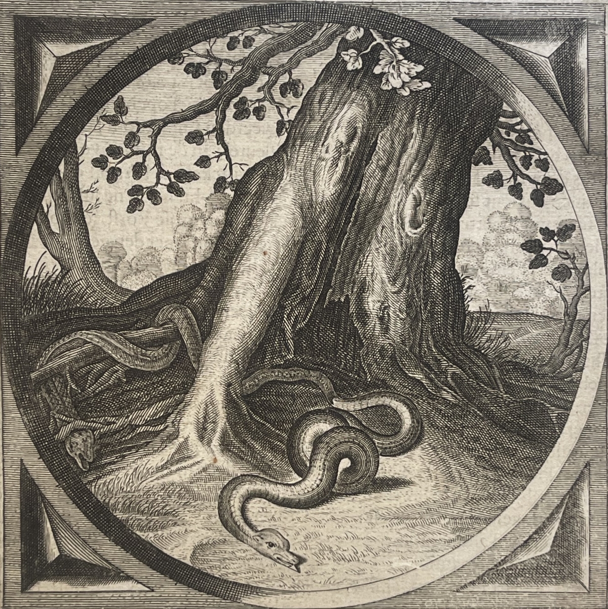 jacob_cats_adriaen_serpent_muant_vieillesse_sagesse_morale_hollandaise_1655
