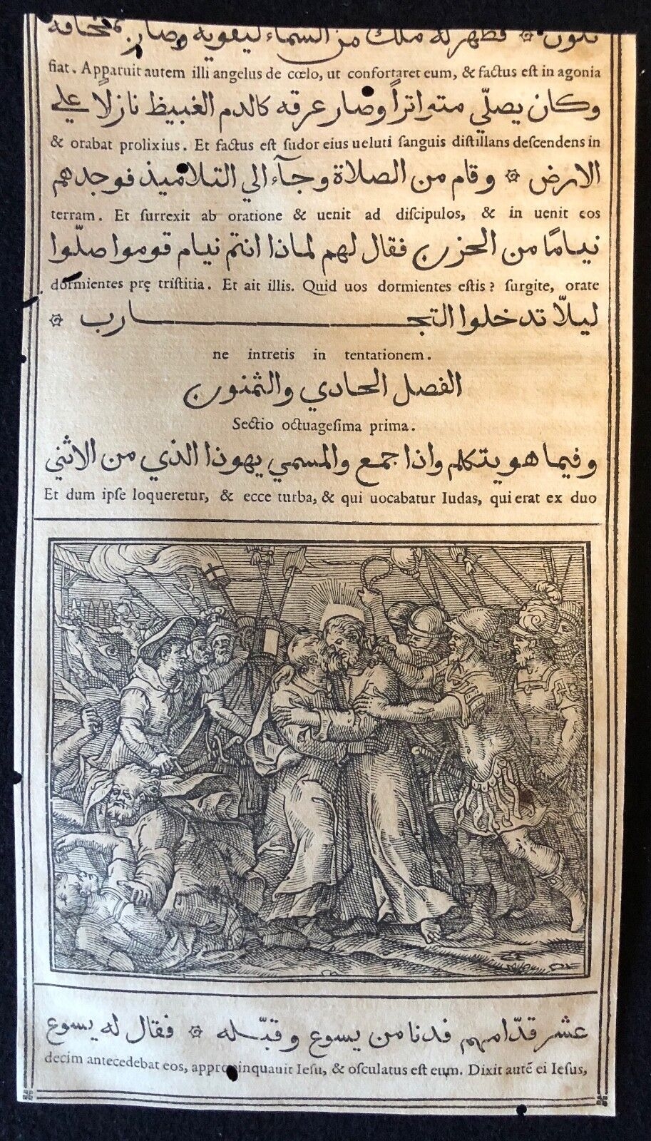 evangiles_arabe_raimondi_1591_tempesta_parasole_xylographie_figuier_sterile_roma