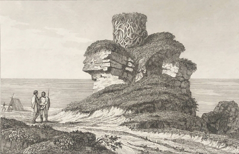 australie_baie_des_chiens-marins_nid_gigantesque_trouve_ile_dirck-hatichs_1830