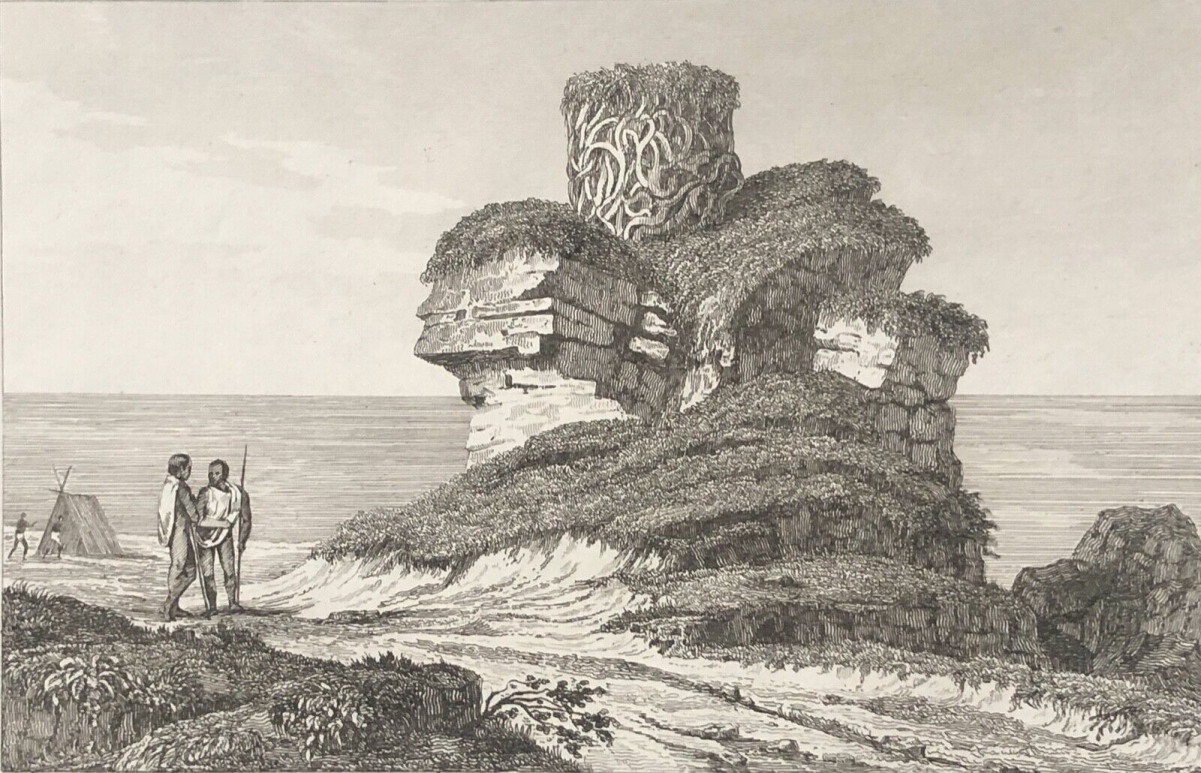 australie_baie_des_chiens-marins_nid_gigantesque_trouve_ile_dirck-hatichs_1830