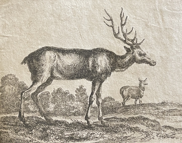 stefano_della_bella_cerf_1620-1664_tirage_tardif_xviii_ou_xixe_anonyme