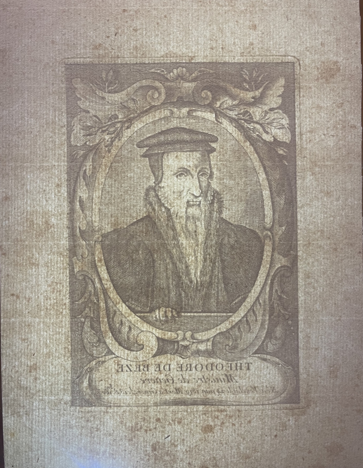 theodore_de_beze_theologien_protestant_calvin_suisse_academie_de_geneve