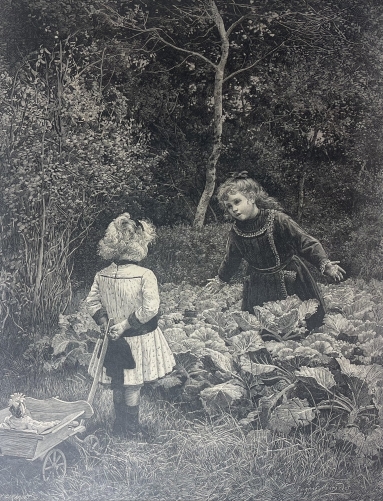eugene_girardet_bredouille_xylographie_vers_1870_choux_enfant_naturaliste_jouet