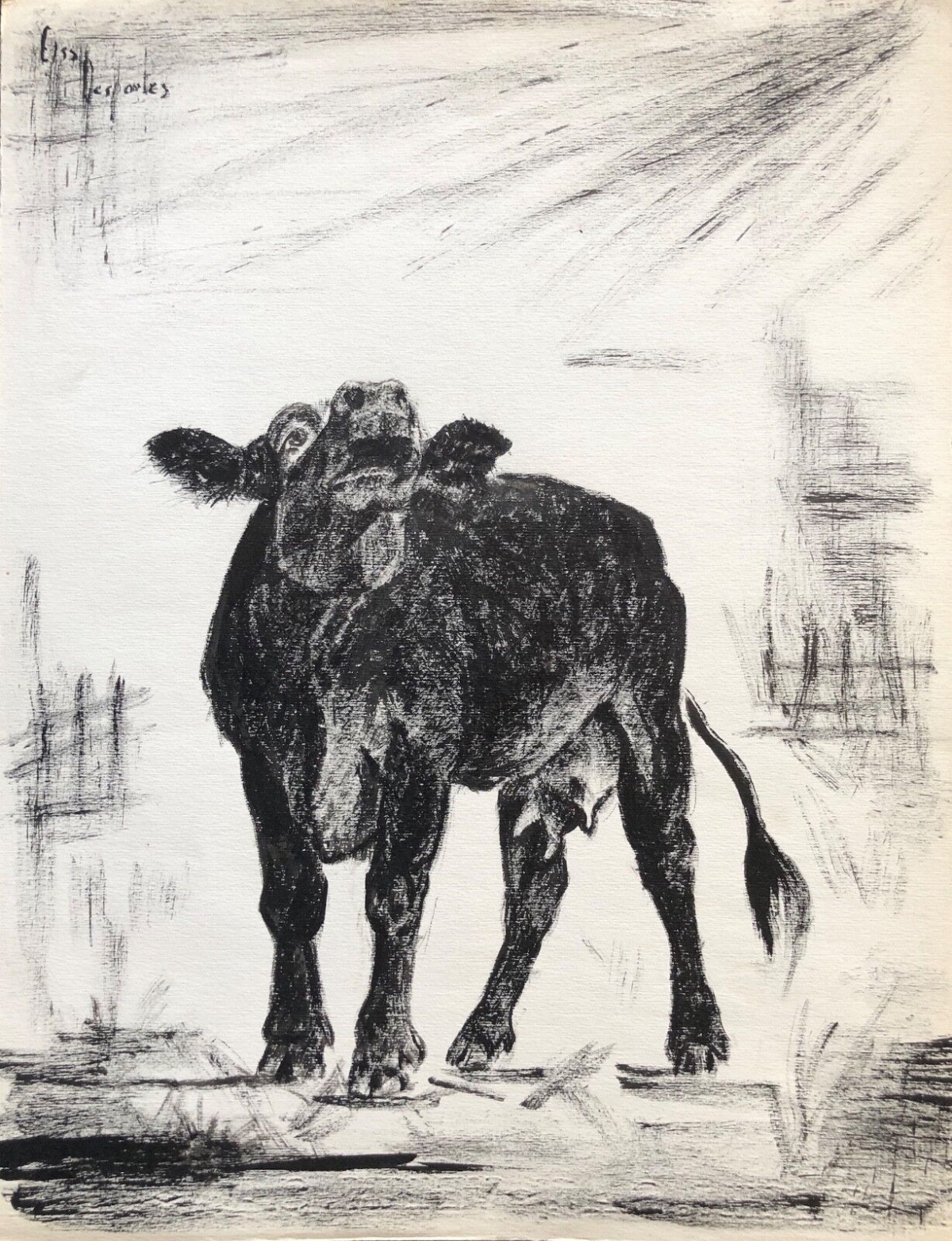 vache_bovin_encre_signee_elsa_desportes_peintre_animalier_poisson_cir_1960