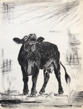 vache_bovin_encre_signee_elsa_desportes_peintre_animalier_poisson_cir_1960