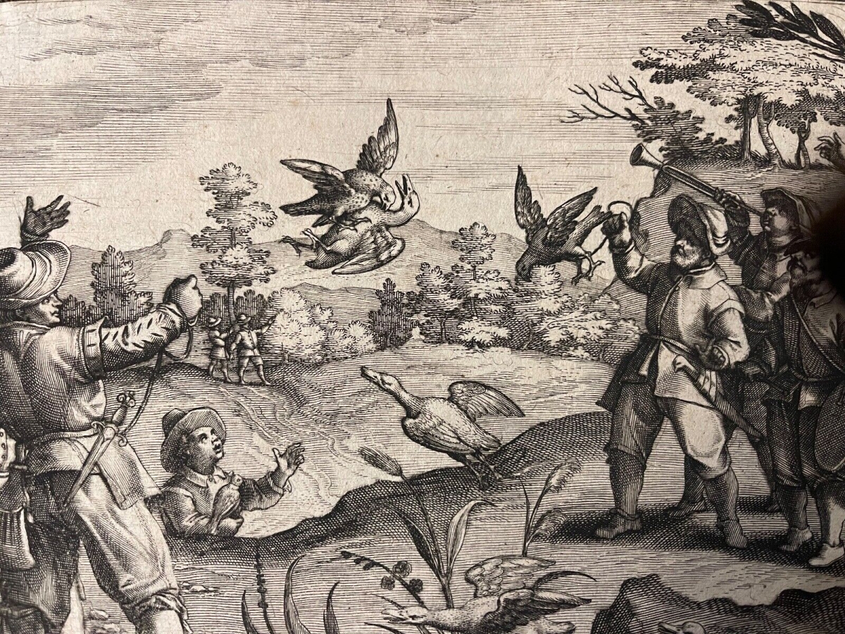 faucon_chasse_aux_canards_philippe_galle_van_der_straet_collaert_c_1595_oiseaux