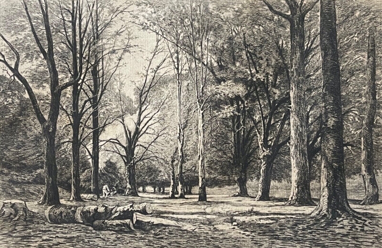 sabotiers_dans_le_bois_de_quimerch_apres_c_bernier_graveur_c_greux_1878_bretagne