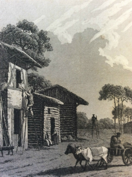 habitation_des_landes_gravure_sur_acier_xixe_france