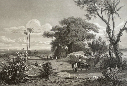 marsala_italie_sicile_maissala_gravure_de_girardet_vert_1841