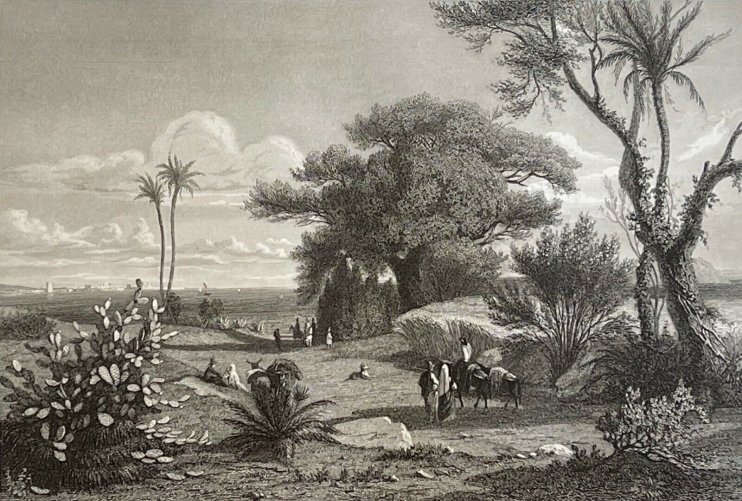marsala_italie_sicile_maissala_gravure_de_girardet_vert_1841