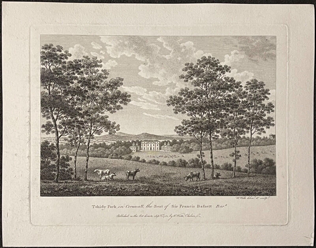 tehidy_park_in_cornwall_1779_united_kingdom