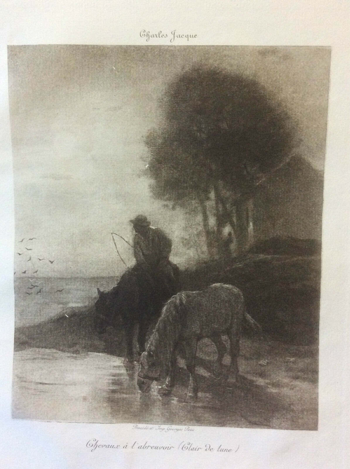 chevaux_a_labreuvoir_barbizon_charles_emile_jacque_1813-1894_helio_g_petit