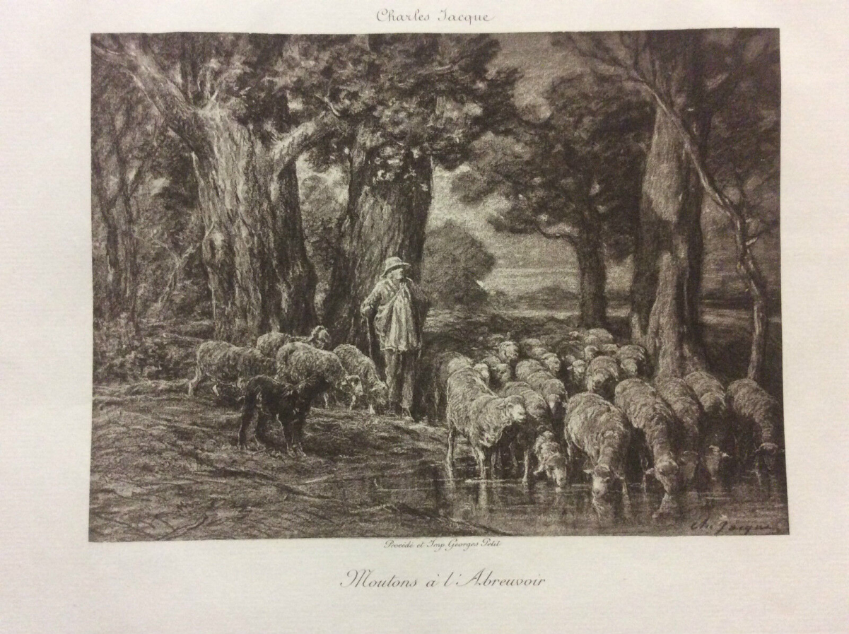 moutons_a_labreuvoir_barbizon_charles_emile_jacque_1813-1894_helio_g_petit