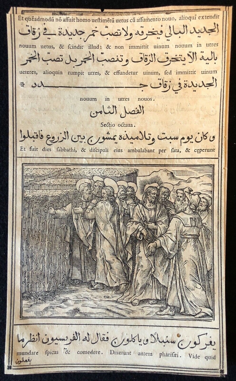 evangiles_arabe_raimondi_1591_tempesta_parasole_medicis_mais_jour_du_sabbat_roma