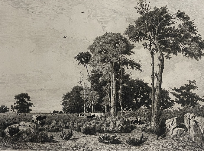 bretagne_la_lande_de_kerrenic_1882_finistere_camille_bernier_graveur_salmon