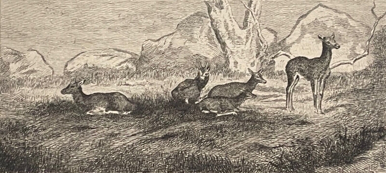 antoine-louis_barye_1795-1875_biches_et_daims_graveur_deblois_1822-1883