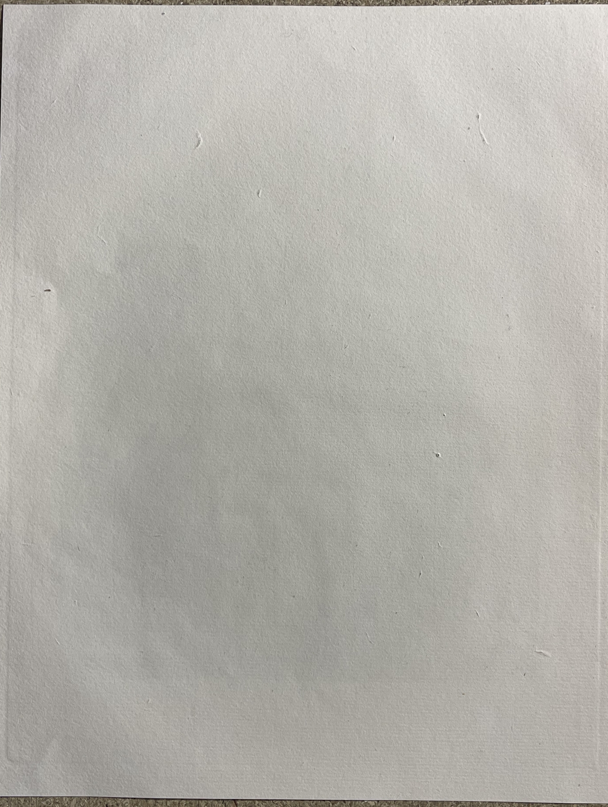 la_madone_de_sainte_claire_de_raphael_graveur_leenhoff_tirage_1882_france